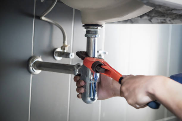 Best Local Plumber Services  in Mena, AR